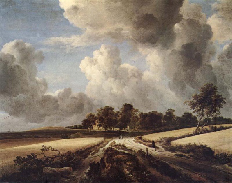 Wheatfields, RUISDAEL, Jacob Isaackszon van